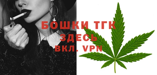 твердый Горно-Алтайск