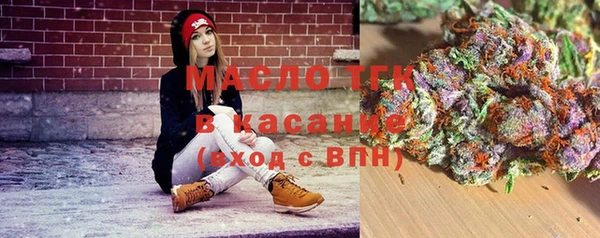 твердый Горно-Алтайск