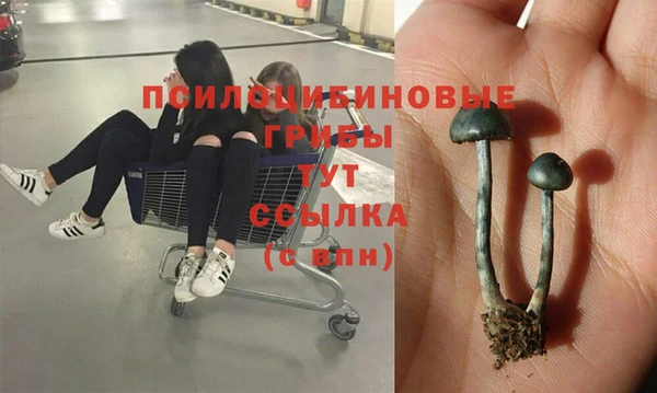 наркотики Горняк
