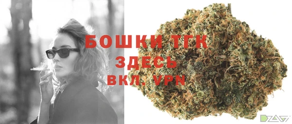 эйфоретик Горнозаводск